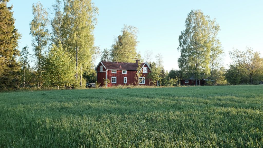 Fliselycke 1 fra marken